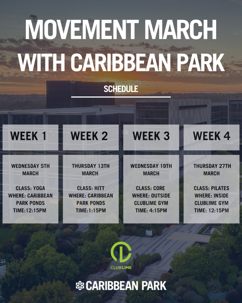 New Instagram layout - 2025 Insatgram posts